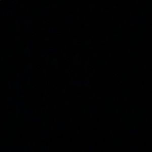 Meet your Posher, Leia